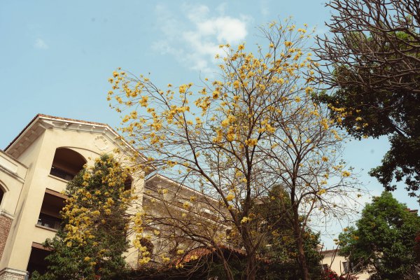 在这里，解锁家门口的“度假全家桶” | 周末叹广东